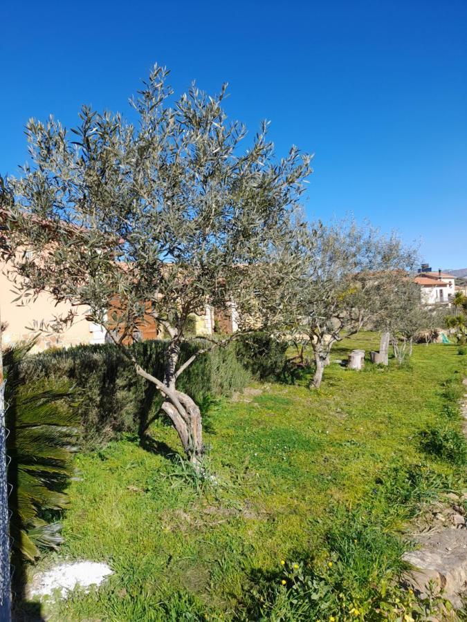 Agriturismo La Stragola Nicosia Zewnętrze zdjęcie
