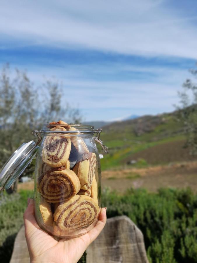 Agriturismo La Stragola Nicosia Zewnętrze zdjęcie