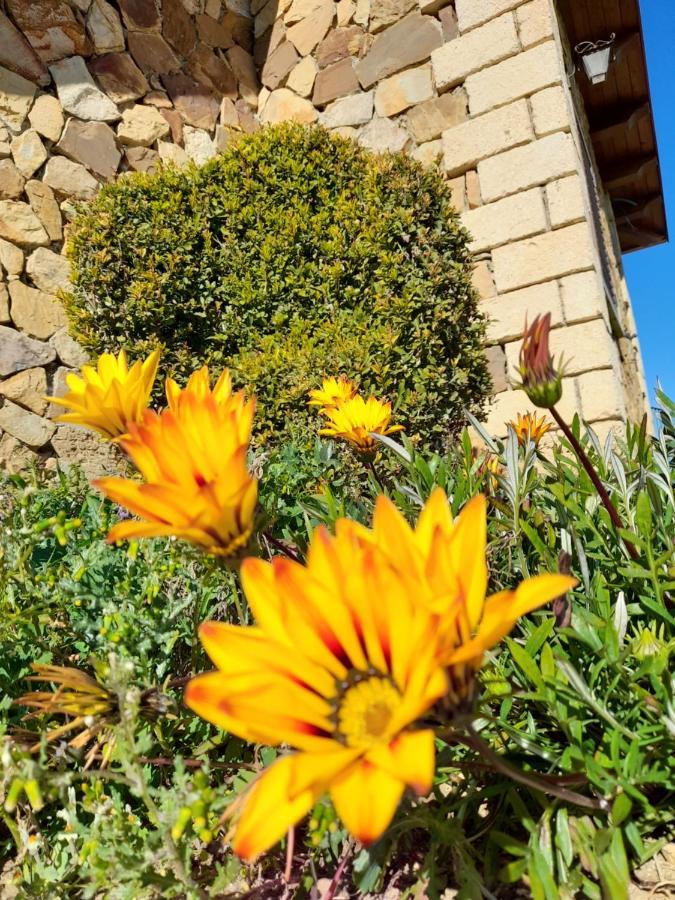 Agriturismo La Stragola Nicosia Zewnętrze zdjęcie