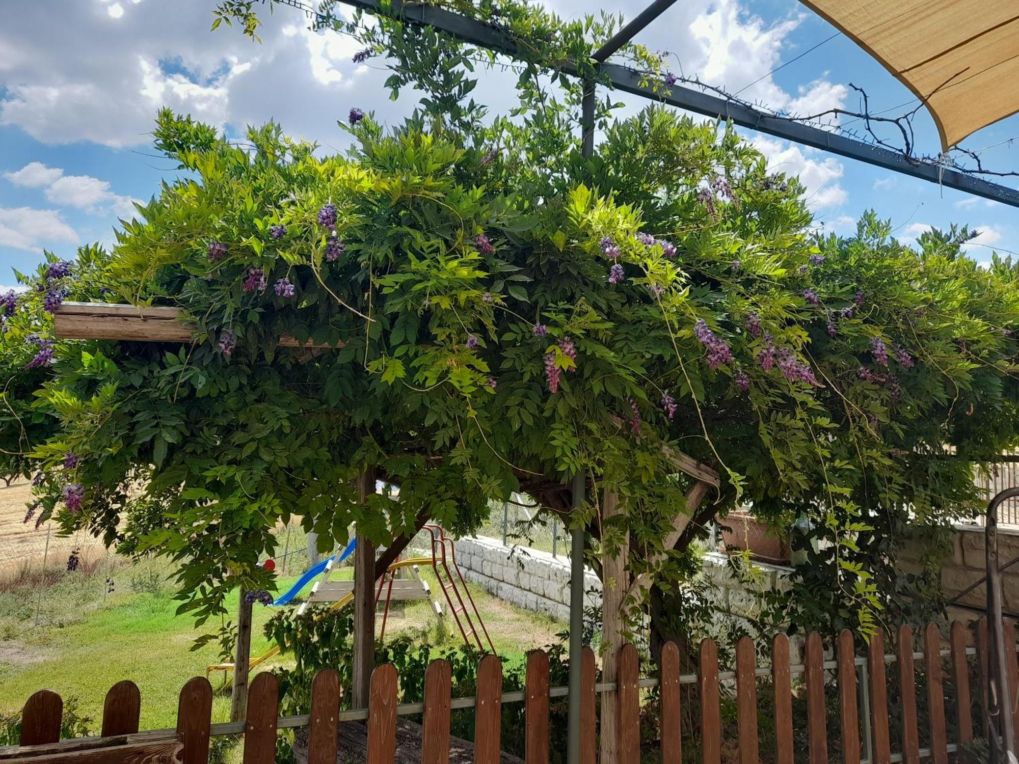 Agriturismo La Stragola Nicosia Zewnętrze zdjęcie